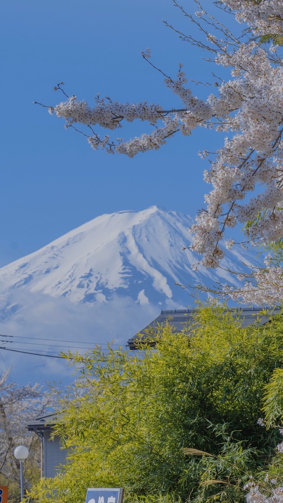 抓娃娃 海报